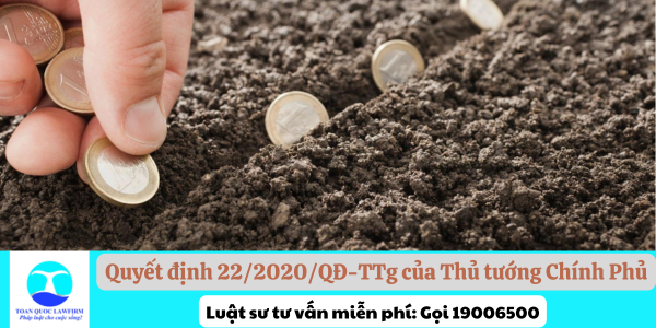 Quyết định 22/2020/QĐ-TTg của Thủ tướng Chính Phủ